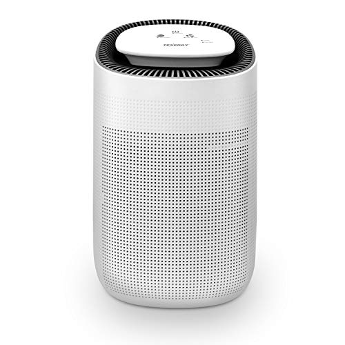 Understanding Air Purifiers and Dehumidifiers for Apartments